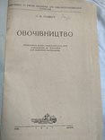1937 г. Харьков Овочівництво, фото №4