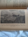 1937 В горах Алтая, фото №2