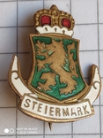 Знак Steiermark патриотика, фото №2