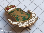 Знак Steiermark патриотика, фото №3