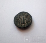 Империя Селевкидов, Антиох ІІ Теос, 261 - 246 гг.до н.э.,реверс - Лира, фото №3
