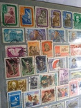 Колекція марок з 1922 по 1964,около 720 шт, фото №13