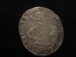 Талер 1620 г. Овэрейссел мин марка Trans, фото №3