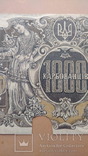 1000 карбованців (1918), АІ 212609, фото №4