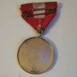 Школьная медаль, Дания, 1947, фото №4
