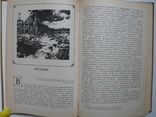 "Литература скандинавских стран (1870-1970)" В.Неустроев, фото №5
