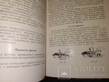 Кинокамера 1954 кинопередвижка Украина Одесса, фото №10