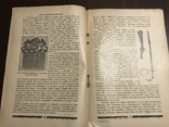1929 Безвірник Хто і для чого охрестив Україну -Русь, фото №5