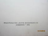 В.И.Белоножко-Крылова. Блюда из овощей и фруктов., фото №4