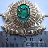 Turkmenistan cap badge Turkmenia capbadge малый мосШтамповский венок MützenAbzeichen, фото №3