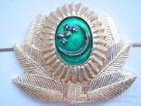 Turkmenistan cap badge Turkmenia capbadge малый мосШтамповский венок MützenAbzeichen, фото №4