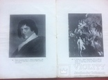 Каталог антикварних цінностей, 1915р Київ (польською мовою), фото №6