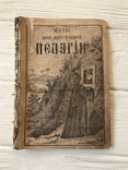 1880 Житие Преподобной Матери нашей Пелагии, фото №2