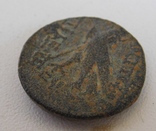 Монета династии Птолемеев ( МД Антиохия ) №2, фото №6