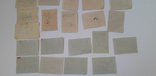 Коллекция этикеток спичечных коробков СССР (232шт.Без повторов), фото №11
