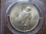 Серебряный Мирный доллар 1923 г. в слабе, photo number 7