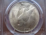 Серебряный Мирный доллар 1923 г. в слабе, photo number 9