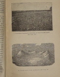 Академик П.Тутковський. Краєвиди України. УАН 1924р., фото №5