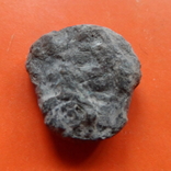 Монета  Ольвии   (Т.13.2)~, фото №2
