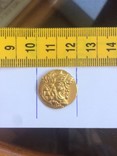 Пантикапей. 314 — 304 год до н.э. Золотой статер, фото №5