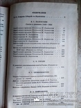 Лермонтов в русской критике. Сборник статей, фото №6