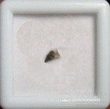 Лунный метеорит NWA 10291 (21 мг.)., фото №3