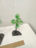 Две пальмы, фото №3