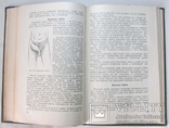 Учебник хирургических болезней 1957 год, фото №5