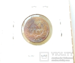 2 одноцентовых монеты 1903 и 1907 Indian Head, фото №6