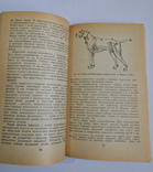 Охотничье собаководство. Власов, Камерницкий, Медведева., фото №5