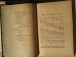 Хирургические болезни моче-половых органов.Харьков.1896 г., фото №8