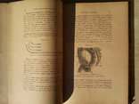 Хирургические болезни моче-половых органов.Харьков.1896 г., фото №10