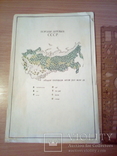 Спич. этикетка Породы деревьев СССР (большая), фото №2