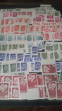 Кляссер с большим набором негашеных марок и блоков СССР, фото №10