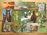 Карманные календарики. Фауна и флора. 131 штука., фото №5
