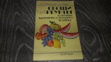 Овощи и фрукты в питании здорового и больного человека 1990, фото №2