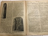 1917 Вокруг света Лекарственные растения, фото №13