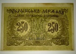 250 карбованцiв 1918, фото №2