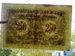 250 карбованцiв 1918, фото №4