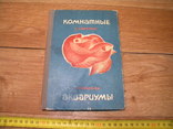 Комнатные аквариумы. 1969 год., фото №2