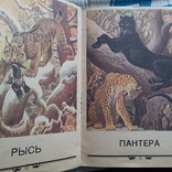 Сергей Михалков "Что кошка себе вообразила" 1987р., фото №5
