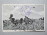 Япония, 1 мировая война, противо-авиационная техника, самолет, штемпель, фото №2