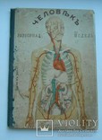 Книга ,,Человекъ.Разборная модель".Киевъ 1904г., фото №2