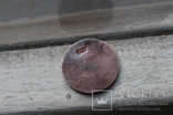 Монета Єлизавета II, фото №9