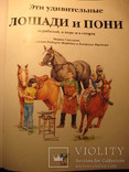 Лошади и пони, фото №4