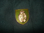 Парадный китель сержанта Датской домашней гвардии (Хьеммевёрнет) со знаками отличия, фото №8