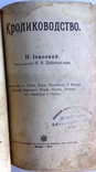 1913  Кролиководство. Иевлева Н., фото №4