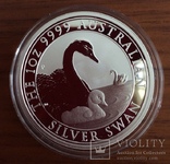 Австралия 1 доллар 2019 г. Лебедь . серебро 999 пробы унция в капсуле т. 25000 штук, фото №2