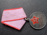 Медалью За трудовую доблесть, фото №8