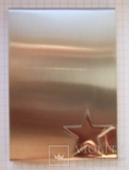 Футляр для банковских, дисконтных карт. Полированная нержавеющая сталь. "Звезда", фото №3